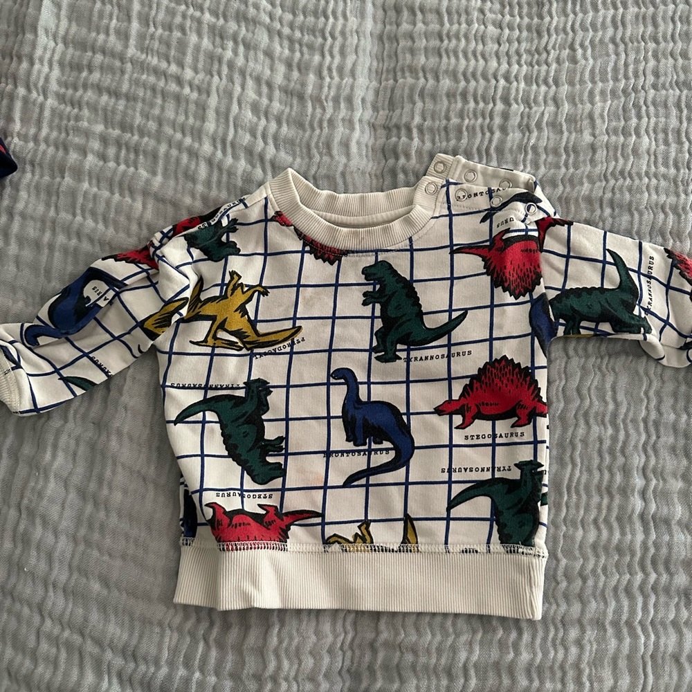 Hanna Andersson sweatshirt